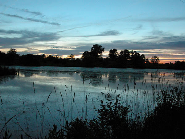 Marsh at sunset, Highway 6