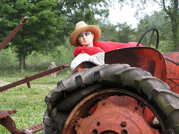 Scarecrow driving a tractor