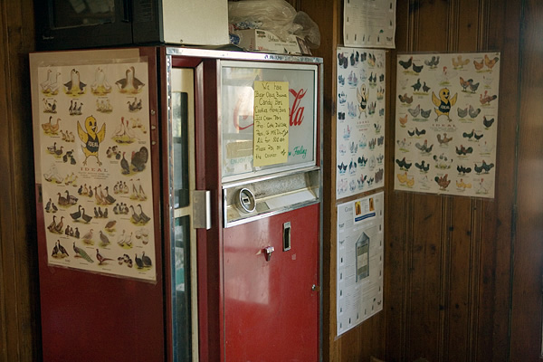 Vending machine, Lucerne Elevator