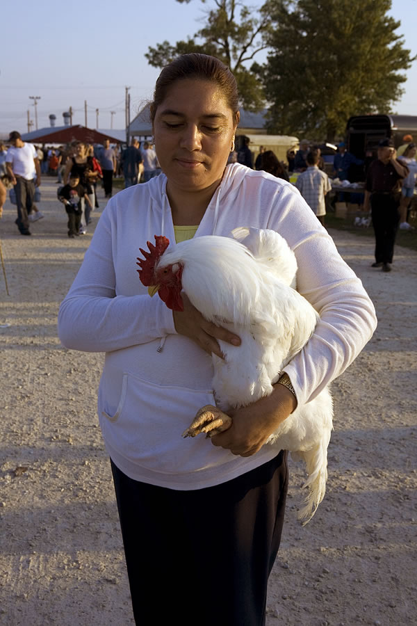 Woman carrying a rooster, Animal Swap Meet, Kankakee, IL