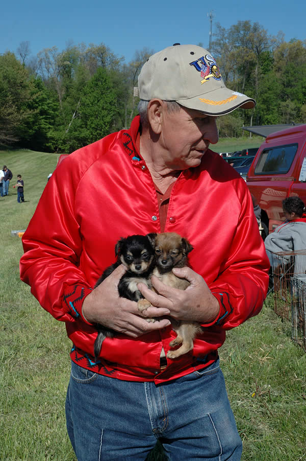 Man holding two bulldog puppies, Animal Swap Meet, Ligonier