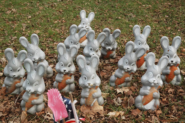 Yard bunnies, Wanatah
